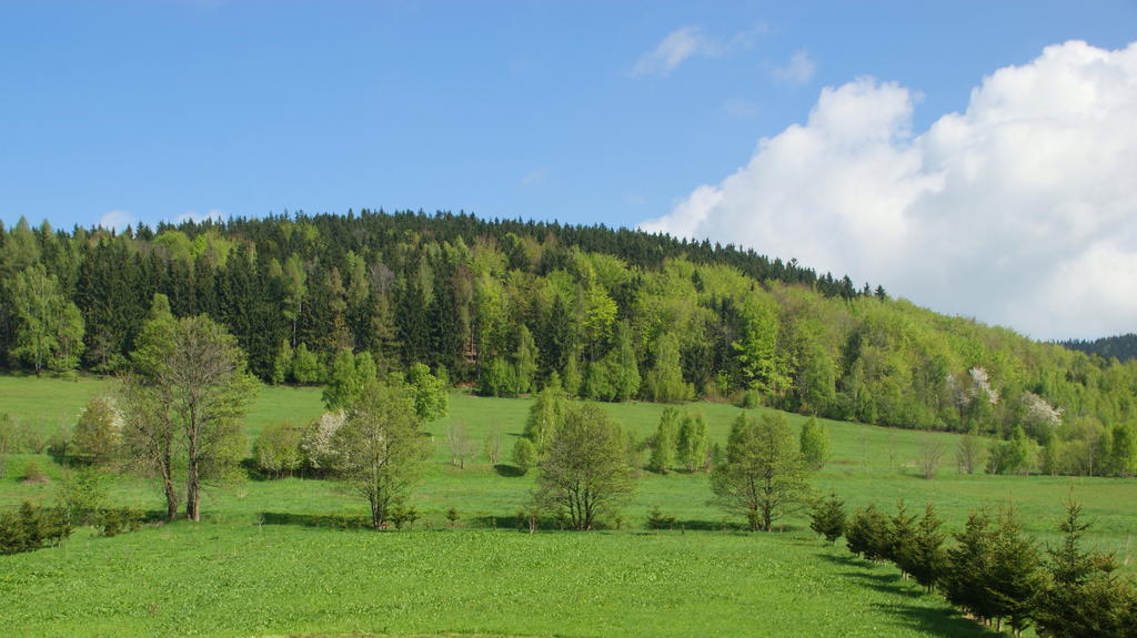 Villa La Val, Karkonosze Szarocin Екстериор снимка